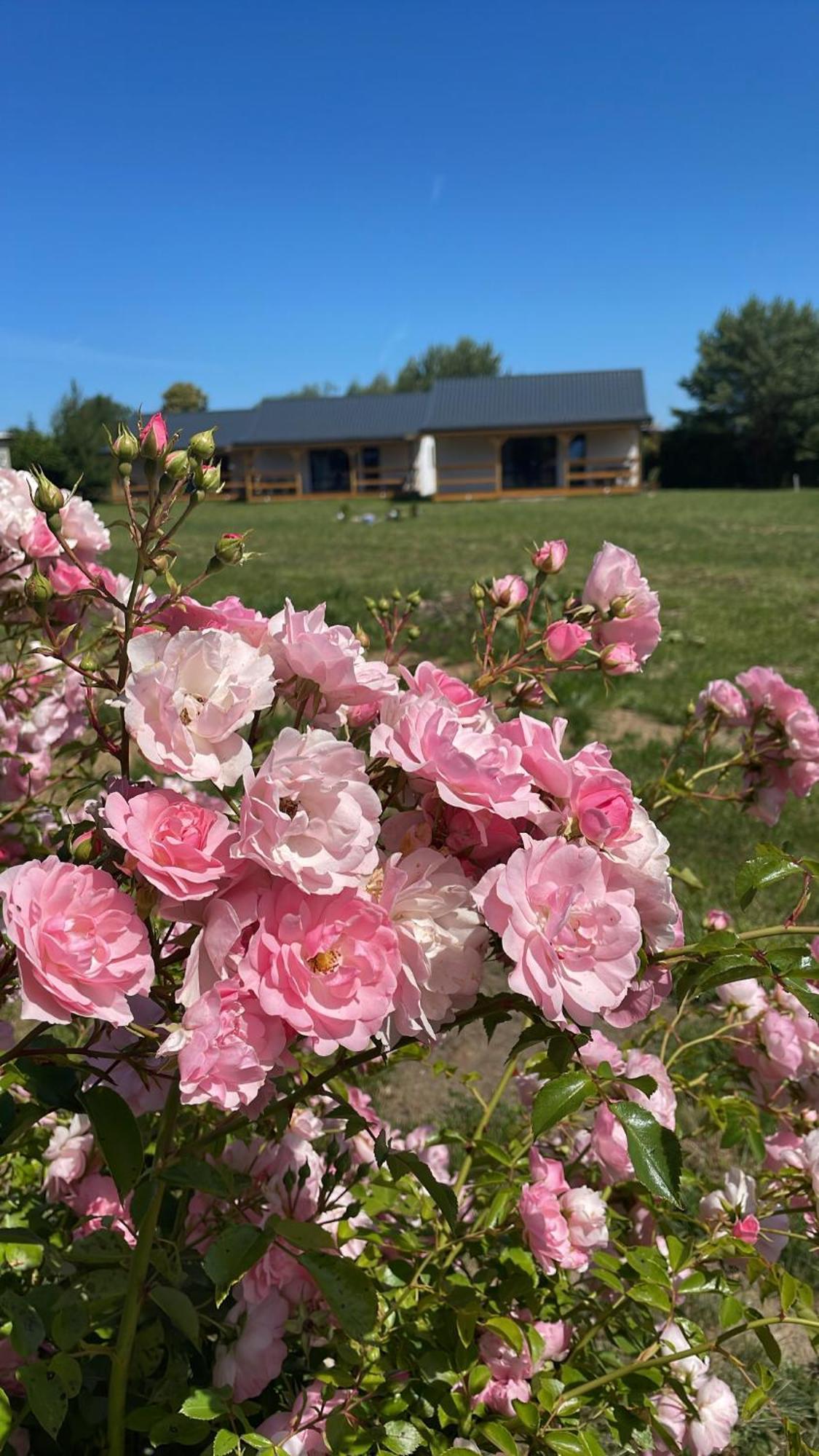 Villa Bursztynowy Zakatek Jezierzany Esterno foto